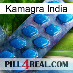 Kamagra India viagra1